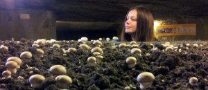 Iva investigating the mushrooms